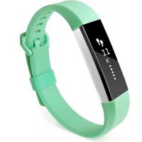 eses Silikónový remienok pre Fitbit Alta, Alta HR a Ace - Veľkosť L, zelený