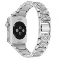 eses Kovový luxusný remienok pre Apple Watch - Strieborný 42mm, 44mm, 45mm, 49mm
